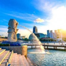 [2025년 연휴] 싱가포르 5일 #노쇼핑 #미슐랭특식